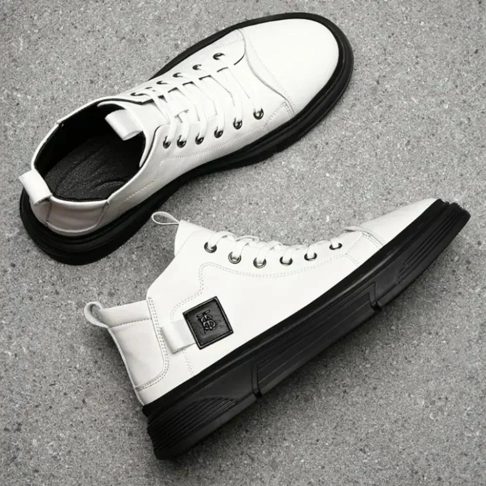 Modell CLI-10